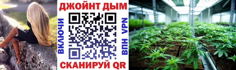 Конопля план  наркошоп  Обоянь 